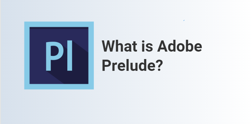 adobe prelude 2022 là gì?