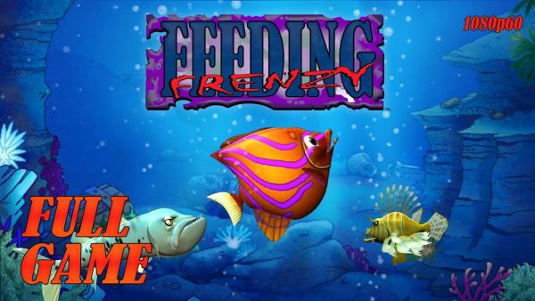feeding frenzy là game gì?