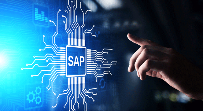 Những lĩnh vực kinh doanh nên sử dụng phần mềm SAP