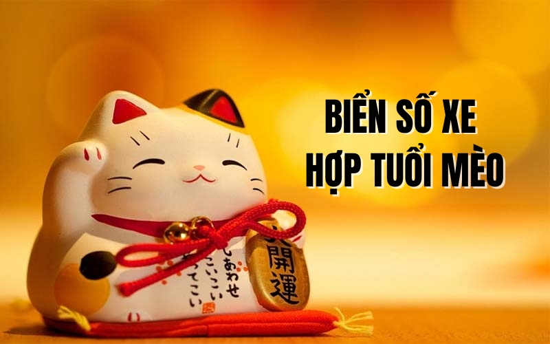biển số xe hợp tuổi mão