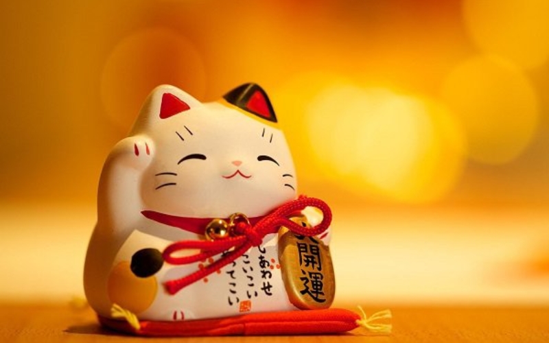tuổi kỷ mão